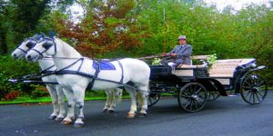 San Valentino in carrozza